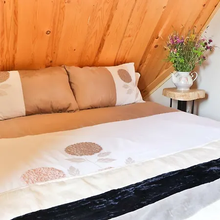 Goscinne Rozek Pansiyon Poronin